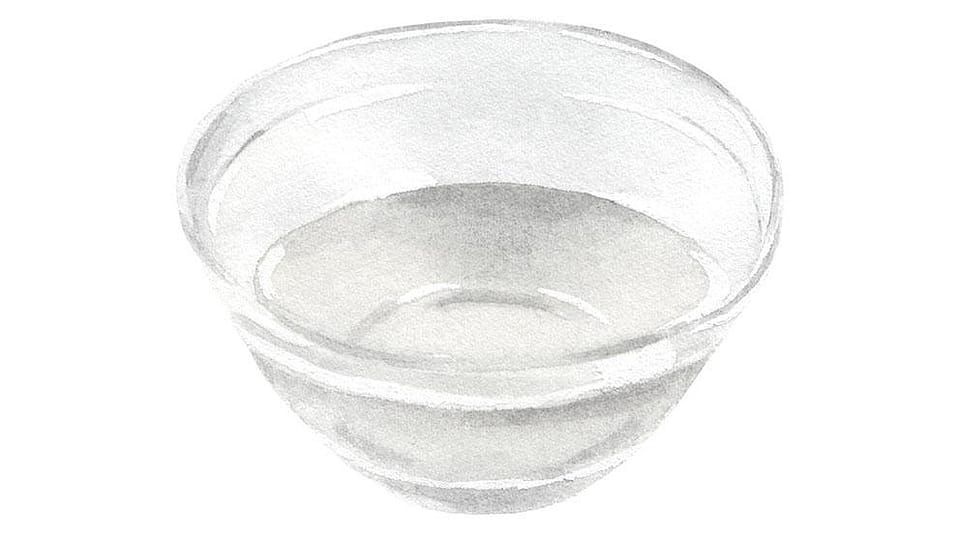 Lactobacillus Ferment